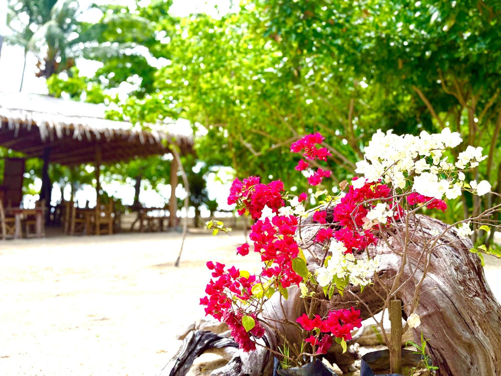 Hotel Dosplaya Ecocamp à El Nido Extérieur photo